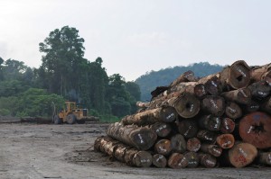 Logging: a popular corruption scenario in PNG