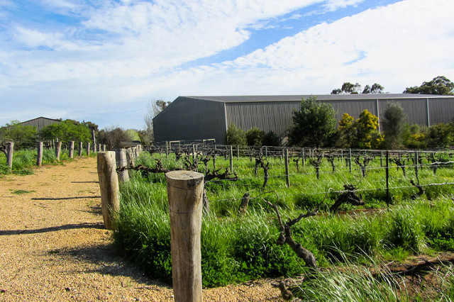 Barossa Valley winery pathway (Flickr/Jocelyn Kinghorn CC BY NC 2.0)