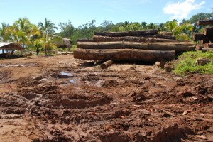 Logging in Marovo, Solomon Islands
