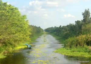 Canal in U Minh Thuong National Park, Kien Giang, Vietnam