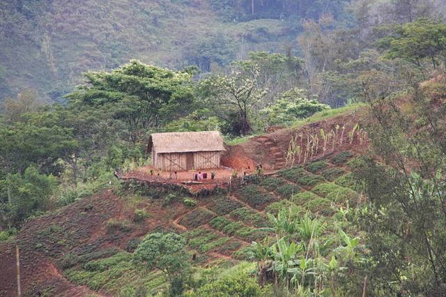 Farming, Whagi Valley, PNG (Flickr/Michal Gonnen)