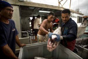 Tuna fishing in Apia, Samoa (Flickr/ADB)