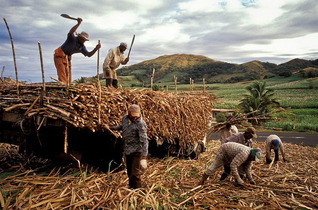 Sugar cane workers in Fiji (Flickr/ADB, CC BY-NC-ND 2.0