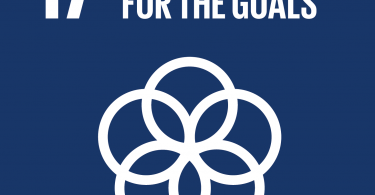 Goal 17 logo
