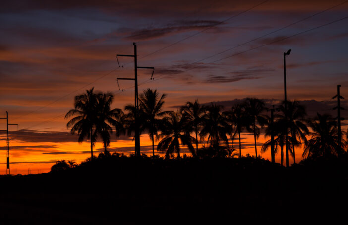 Dragon fruit farm, Middle Point, NT (Geoff Whalan/Flickr CC BY-NC-ND 2.0)