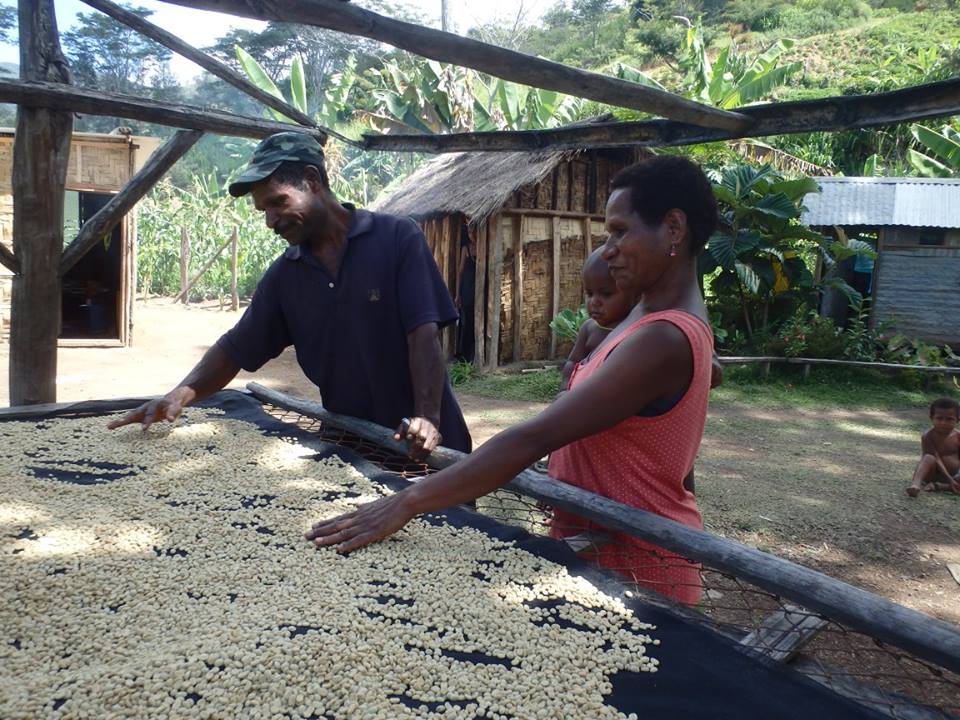 Beans drying, Eastern Highlands (image: Village Coffee)