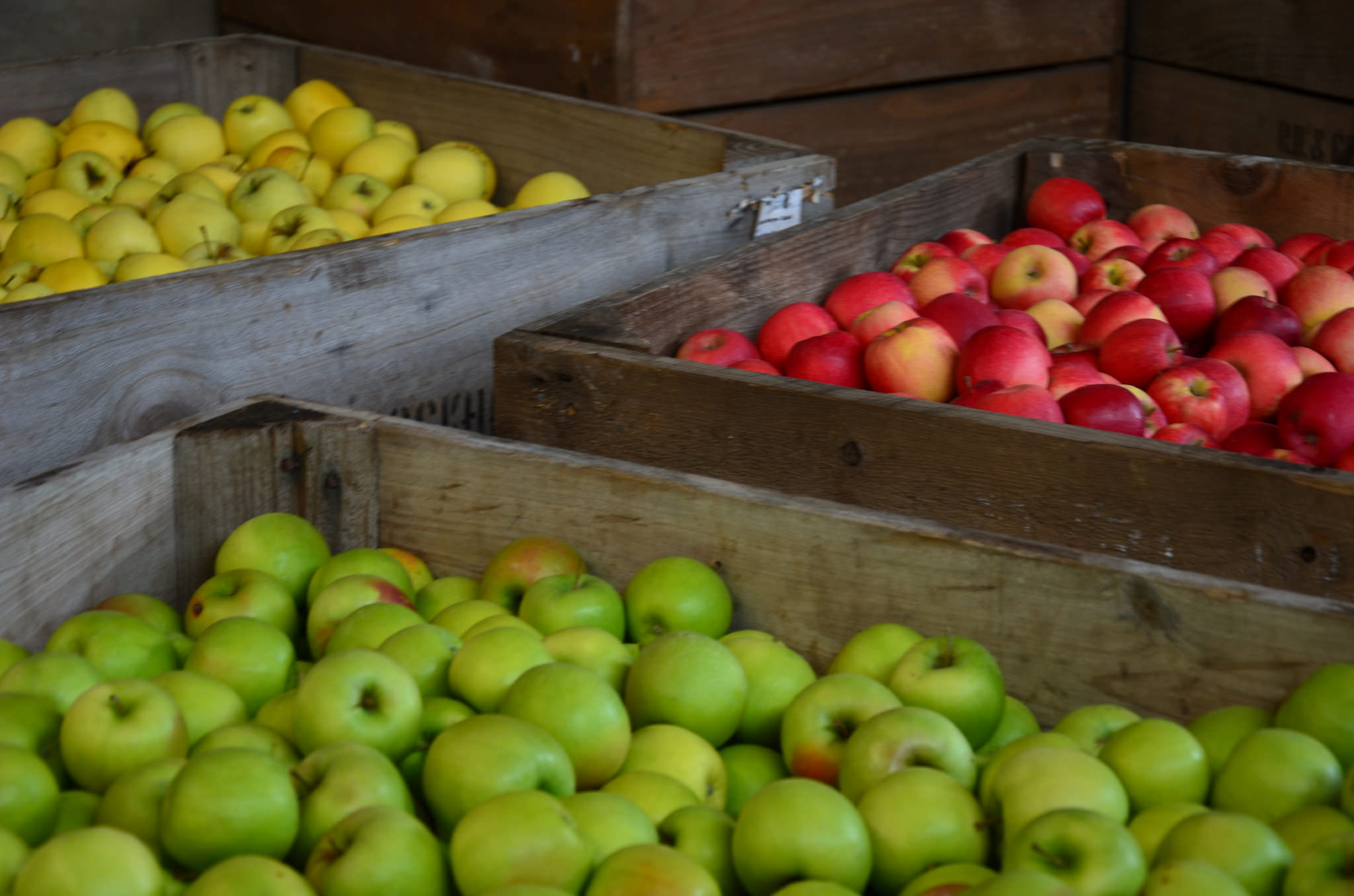 Bins of apples at Otherwood Orchards, South Australia (Apple and Pear Australia Ltd/Flickr/CC BY 2.0)