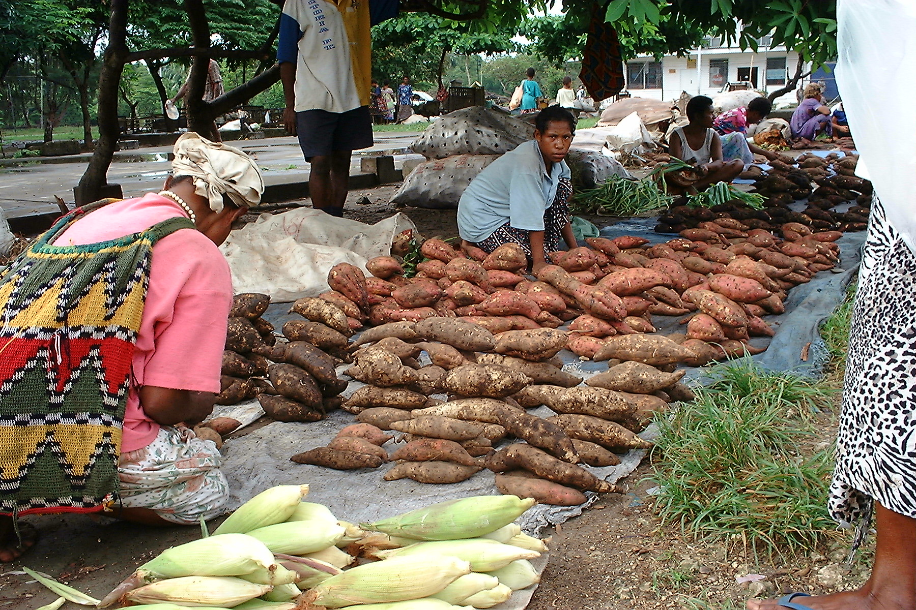 Market in Madang, PNG (Tanaka Juuyoh/Flickr/CC BY 2.0)