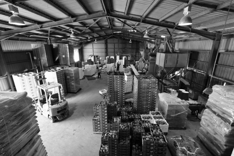 A packing shed in Mareeba, Queensland (Matthew Kenwrick/Flickr/CC BY-NC-ND 2.0)