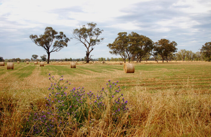A farm in rural Victoria (Elizabeth Donoghue/Flickr/CC BY-NC-ND 2.0)