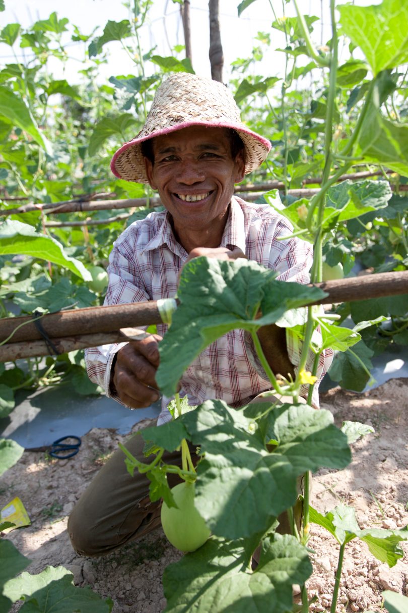 A Cambodian cucumber farmer participating in the MASE project (Credit: iDE)