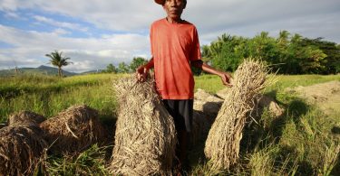 A farmer in Timor-Leste (UN/Flickr/CC BY-NC-ND 2.0)