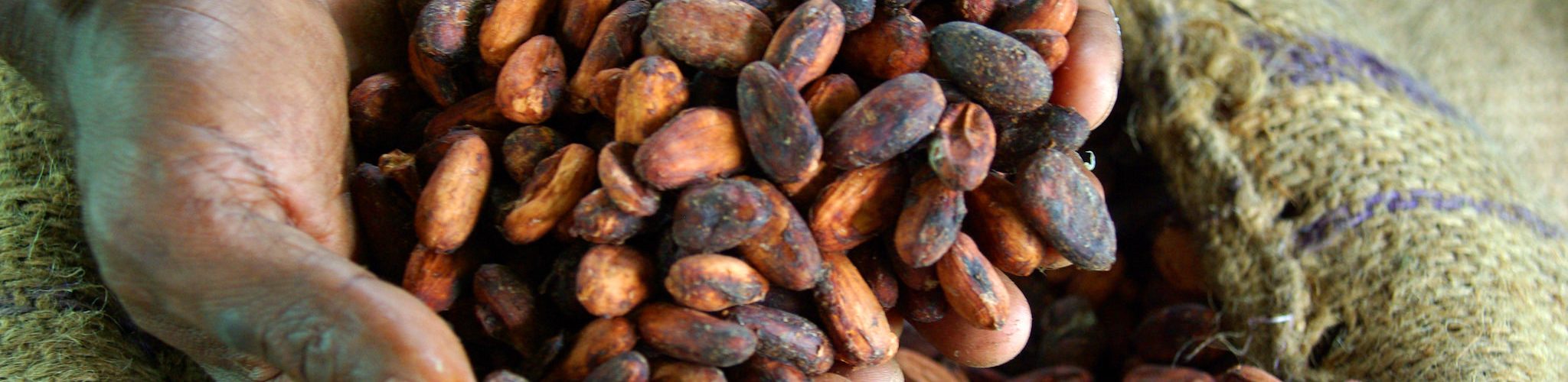 Dried cocoa beans ready for export (Irene Scott/DFAT/Flickr/CC BY 2.0)