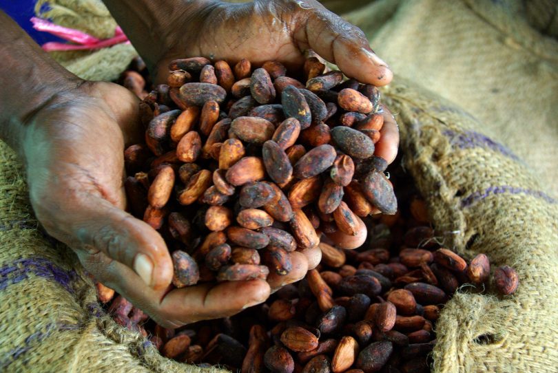 Dried cocoa beans ready for export (Irene Scott/DFAT/Flickr/CC BY 2.0)