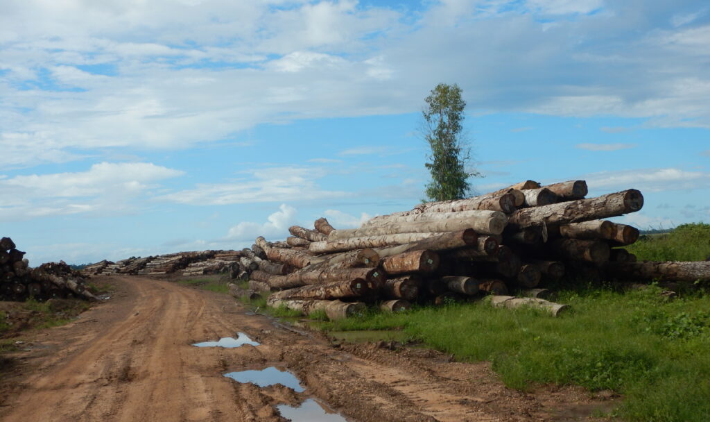 In recent years, Papua New Guinea has become the world’s biggest exporter of tropical logs. Nearly all of them are sold to China (Credit: Global Witness, 2016)