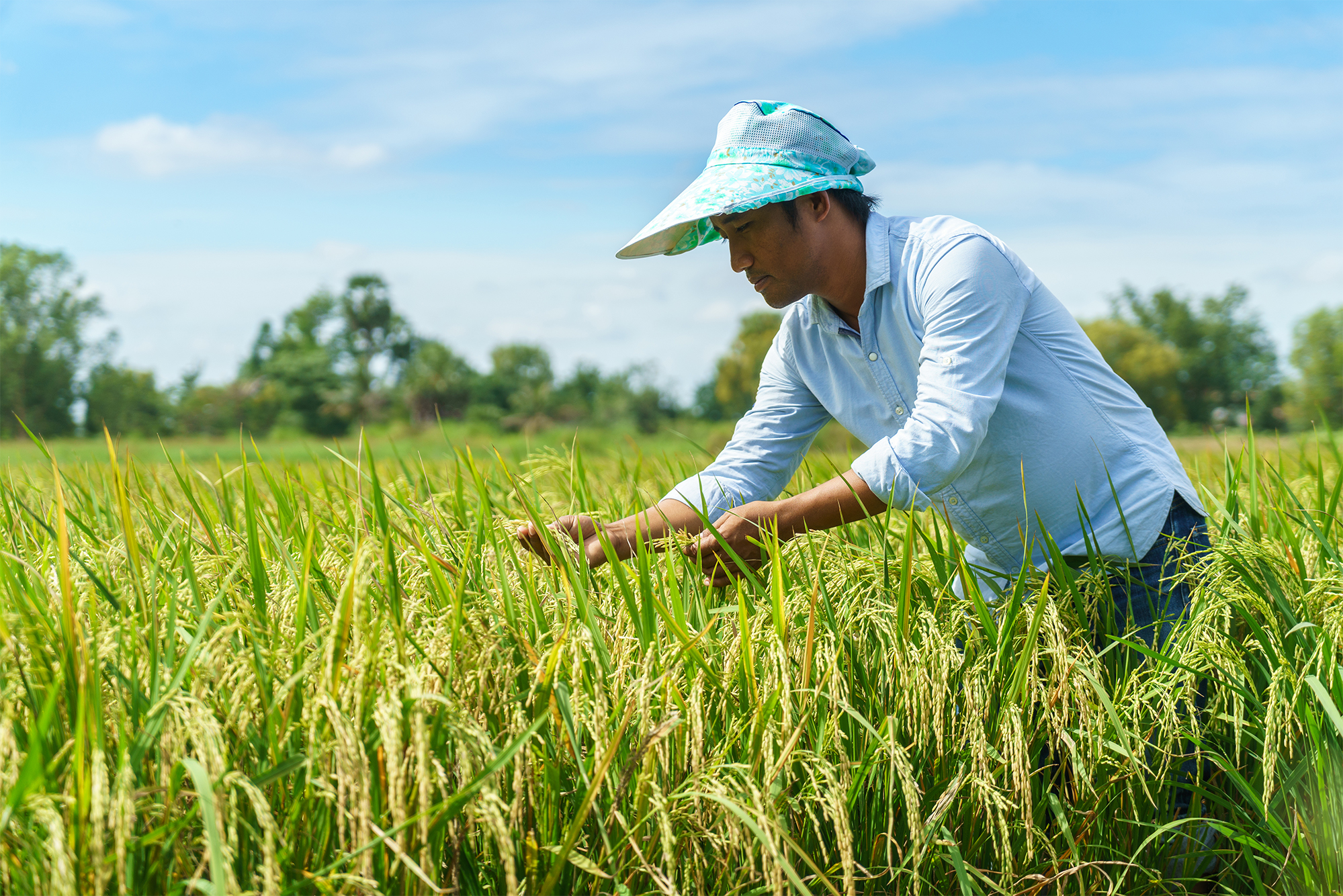 A Cambodian farmer (Credit: CAVAC/DFAT)