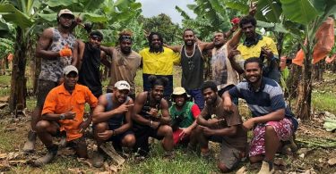 Workers from Vanuatu at Dotti Farms in Innisfail, Queensland (Credit: LMAP, Cardno)