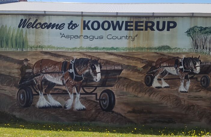 Credit: Rochelle Bailey