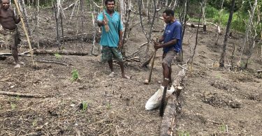 Lowland farmers in East Sepik, Papua New Guinea (Credit: Emily Schmidt/IFPRI)