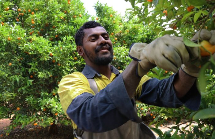 Participant in the Seasonal Worker Programme (Credit: DFAT/Flickr CC BY 2.0)