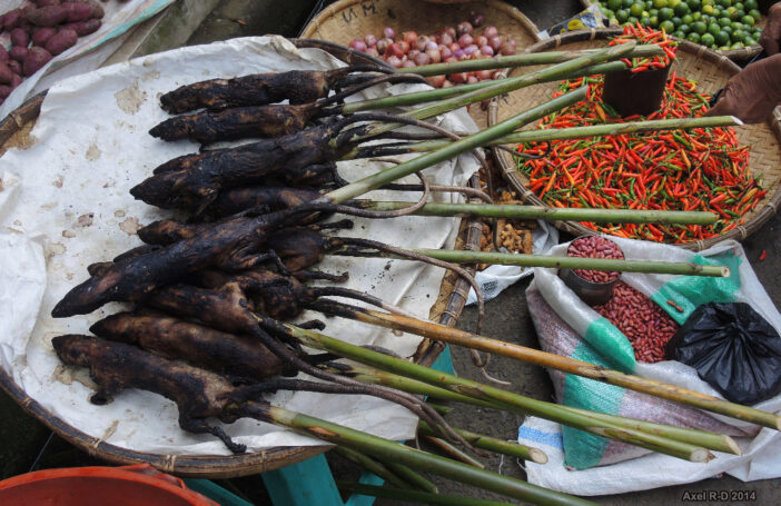 A meat market in Indonesia (Credit: Axel Drainville/Flickr CC BY-NC 2.0)