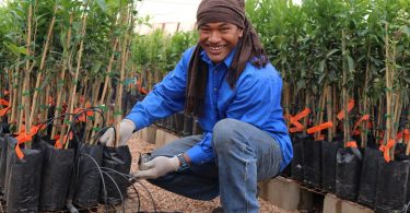 Participant in Australia's Seasonal Worker Programme (Credit DFAT Flickr CC BY 2.0)