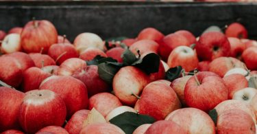 Apples are one of many late summer crops that rely on seasonal workers for harvesting (Credit: Joanna Nix on Unsplash)