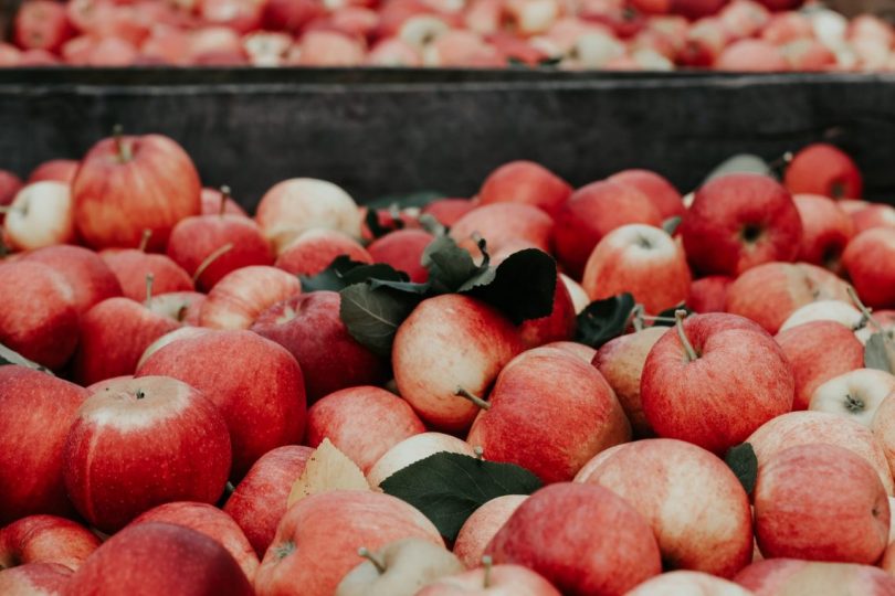 Apples are one of many late summer crops that rely on seasonal workers for harvesting (Credit: Joanna Nix on Unsplash)