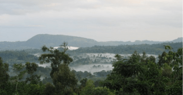 Cloud forests on the road to Yoka, Decha Woreda, Kafa Zone, southwest Ethiopia