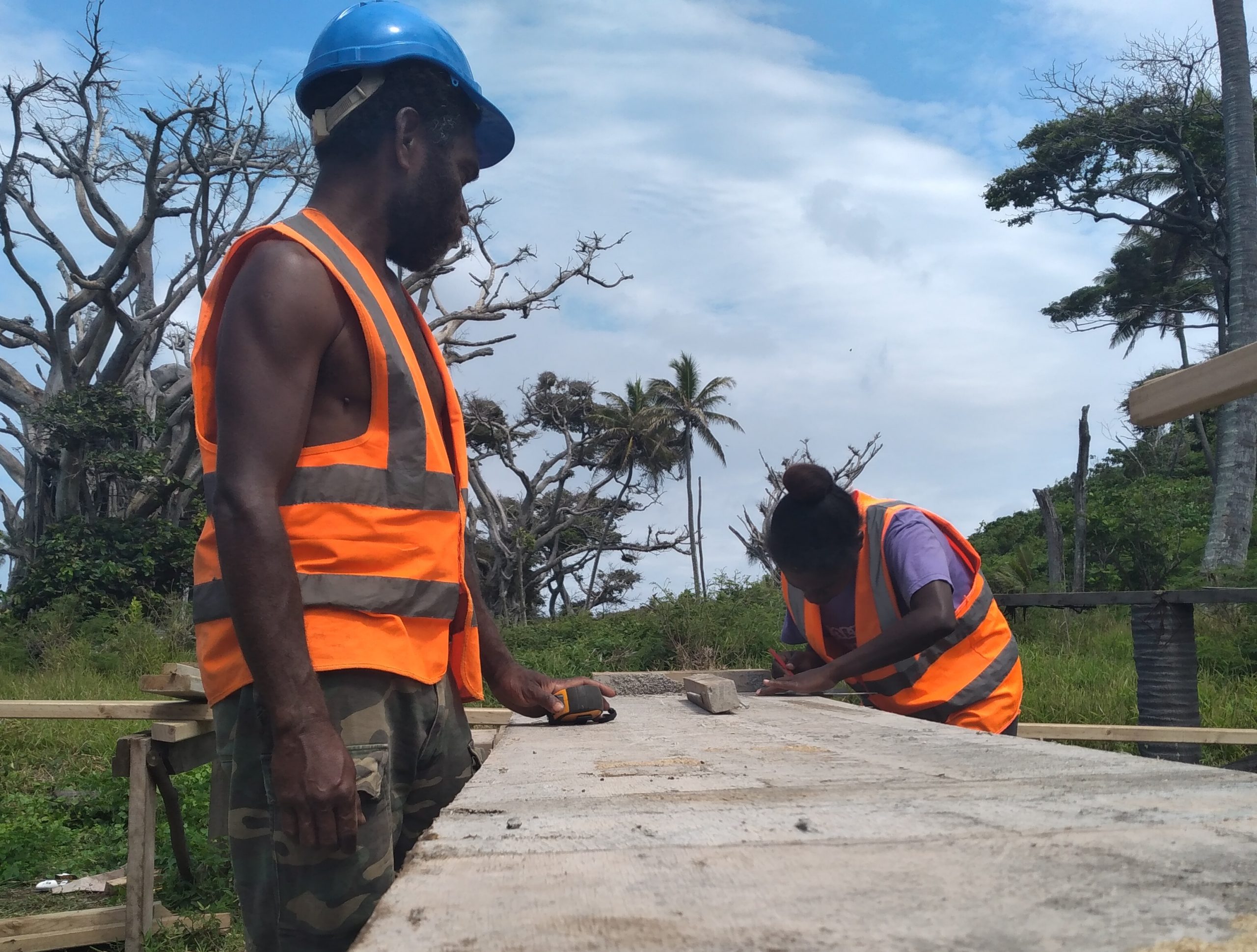 Skills sector reform in Vanuatu: training provider transformation and quality training