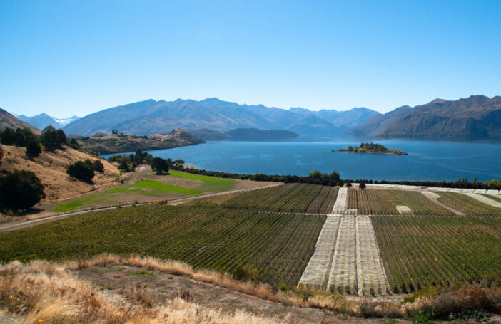 Pacific seasonal workers to New Zealand: slow progress