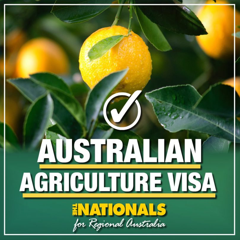 Close-up photograph of an orange on a tree. There is text over the photo which reads "Australian Agriculture Visa. The Nationals for Regional Australia."