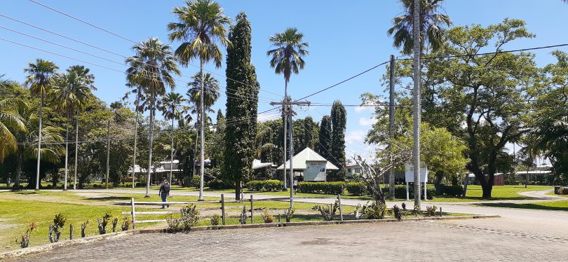 A photograph of the campus of Divine Word University in Papua New Guinea. In the foreground is a paved road, in the mid ground is a student with a backpack, in the background are buildings and signs. The grassed area is green and there are tall palm, and other, trees.