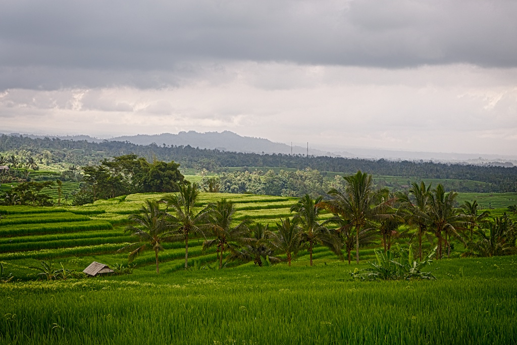 Indonesia (Scott Kuo-Flickr)