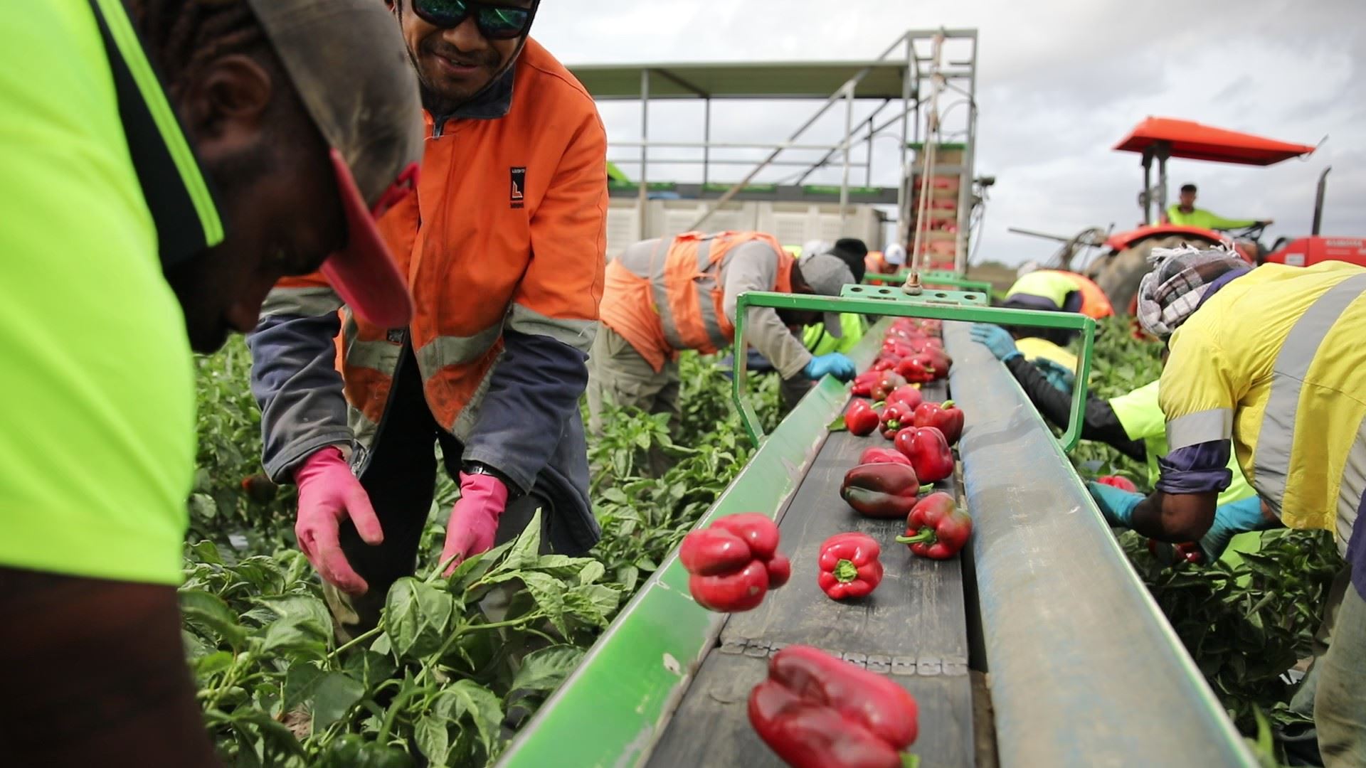 8,000 seasonal workers by 2025 from PNG