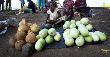 Photograph of a young women sitting cross-legged on dirt selling coconuts and bottle gourds which are spread on black plastic in front of her.