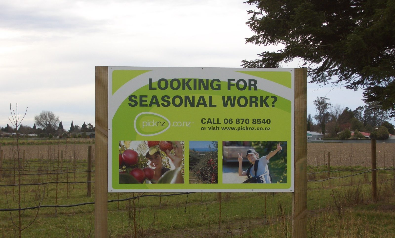 Photography of roadside sign in a field that reads 'Looking for seasonal work?'