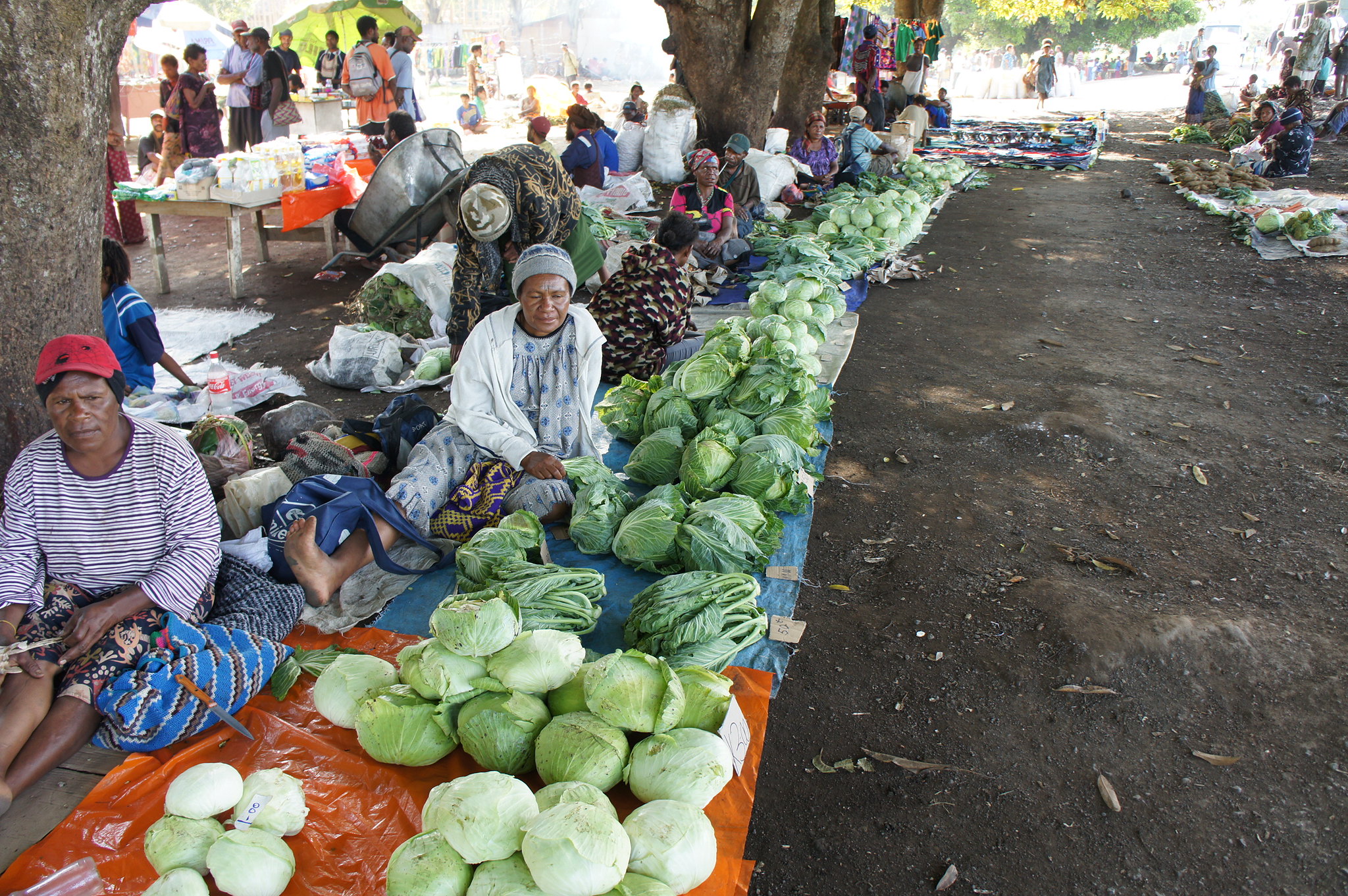 A local market near Goroka (P. Mathur-Bioversity International-Flickr)