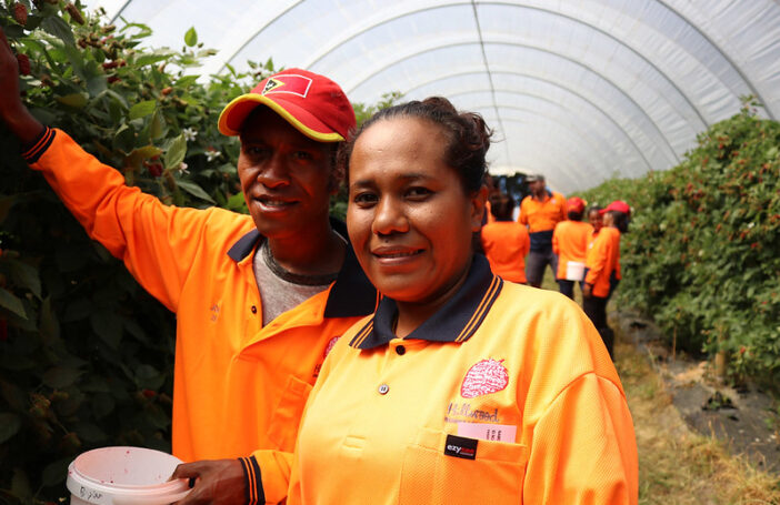 Photograph of Seasonal workers from Timor-Leste