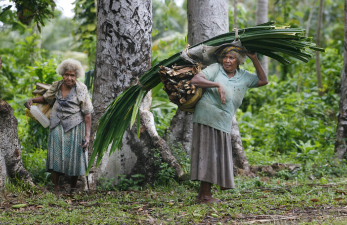 Livelihoods from the forest in Solomon Islands (Rob Maccoll-DFAT-Flickr)