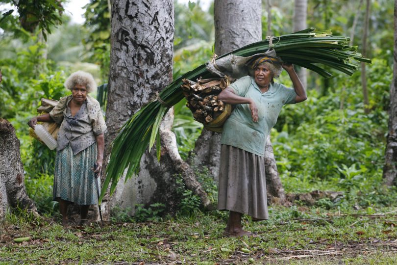 Livelihoods from the forest in Solomon Islands (Rob Maccoll-DFAT-Flickr)