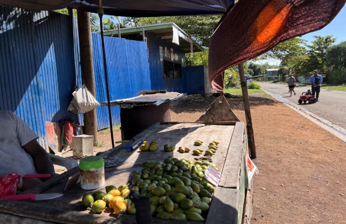 Betelnut vendor, Papua New Guinea