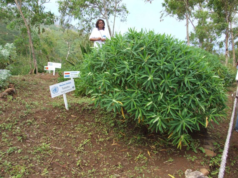 A UNDP project in Cape Verde (UNDP-Flickr)