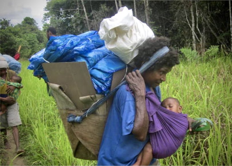 Women distributing long-lasting insecticide-treated bed nets in PNG (Rotarians Against Malaria)