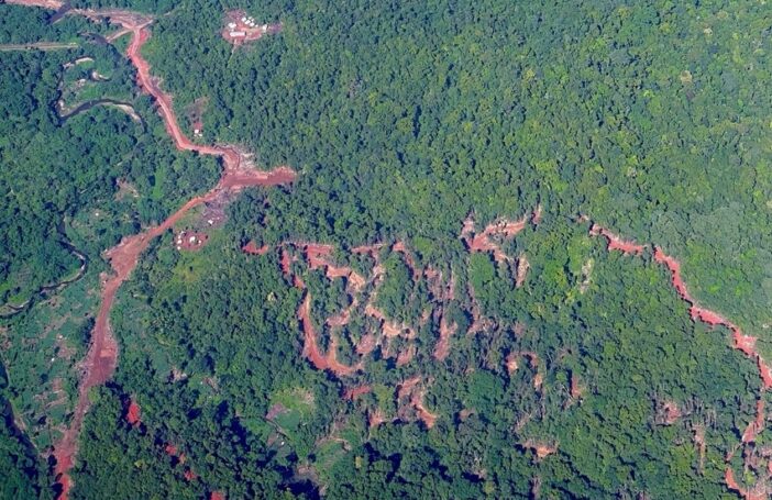 Logging roads on Guadalcanal's southern coast (Bobby Anderson)