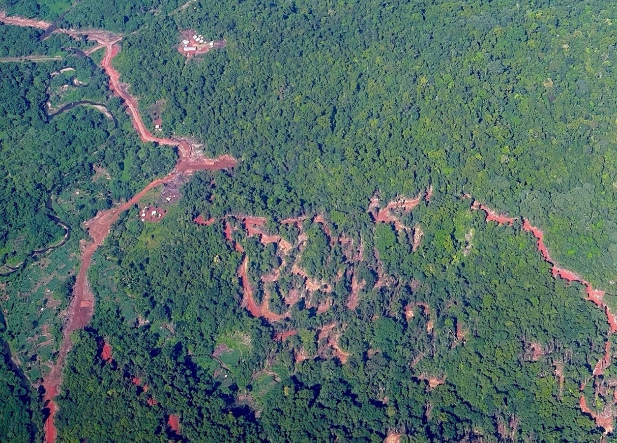 Logging roads on Guadalcanal's southern coast (Bobby Anderson)