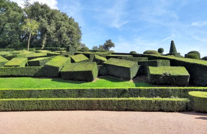 Chaos in a French garden.