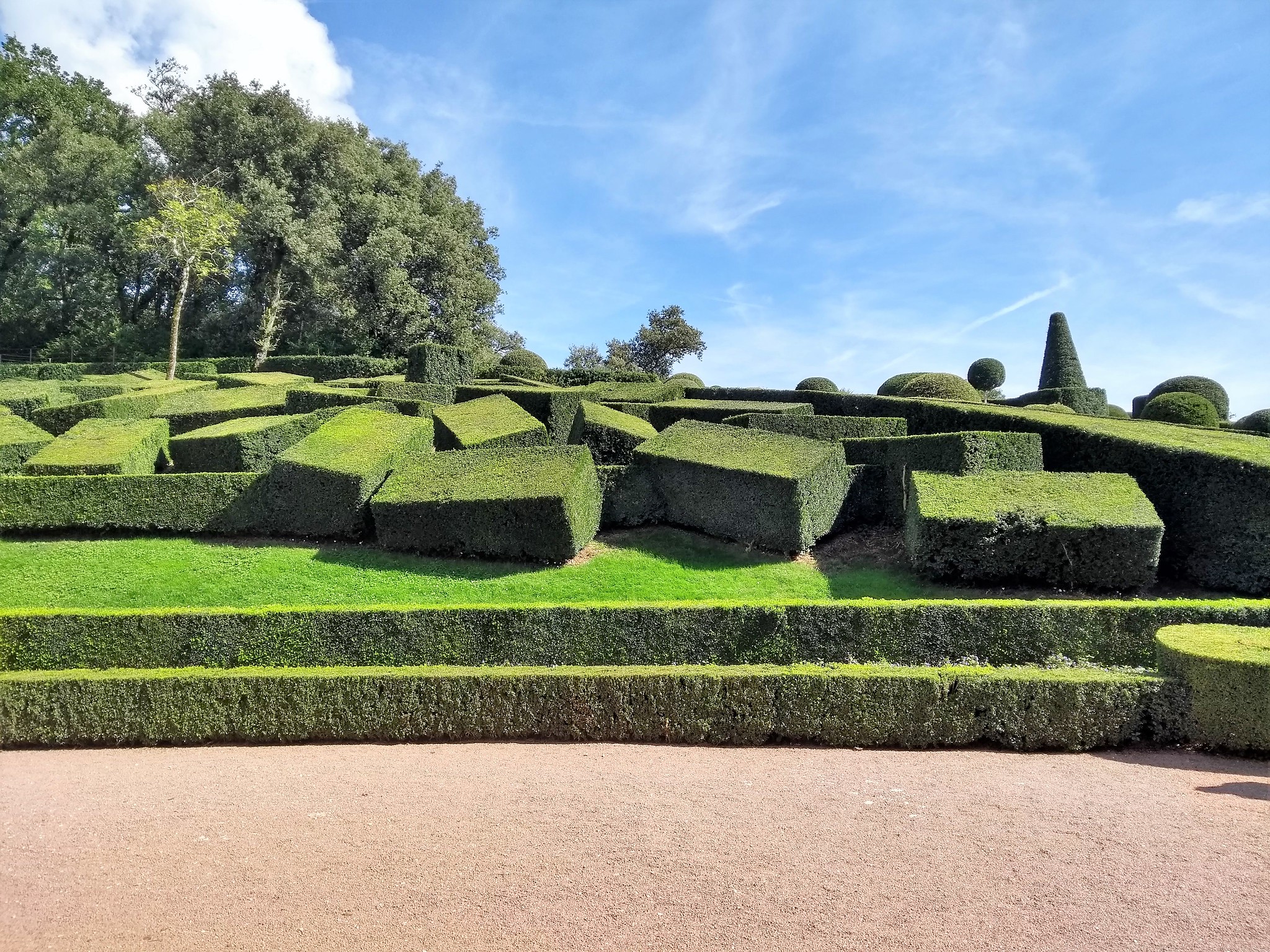 Chaos in a French garden.