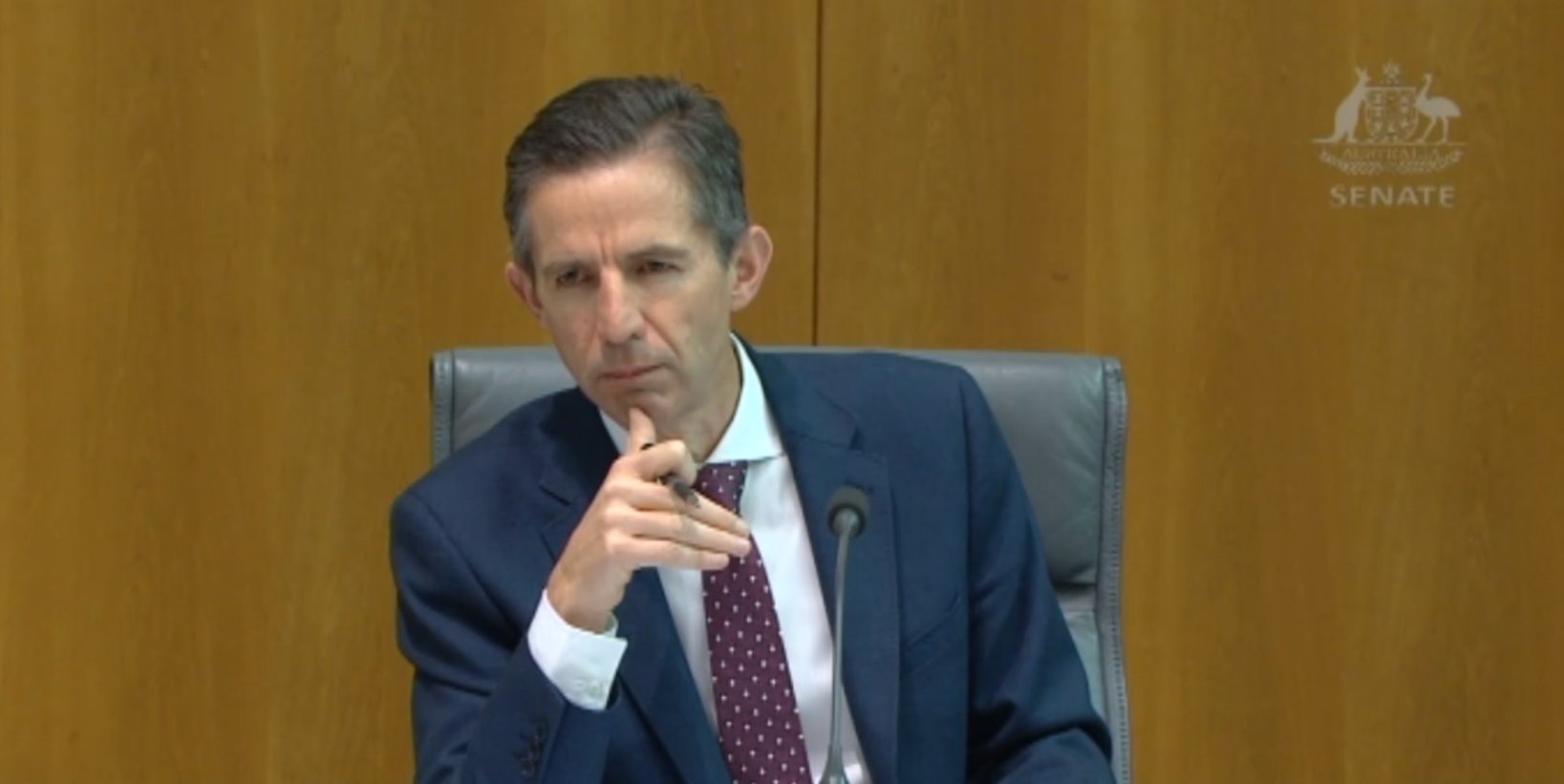 Senator Simon Birmingham during Senate Estimates hearings