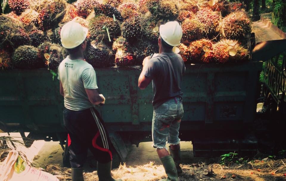 504073642 10100176683254328 8651285070480394931 n